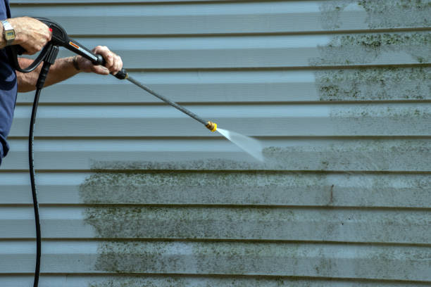 Best Roof Washing  in Springdale, AR